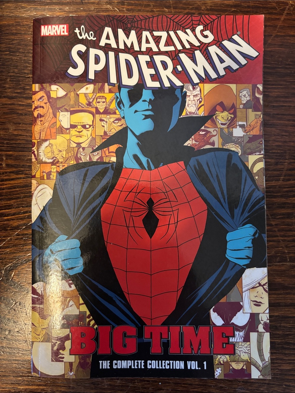 The Amazing Spider-Man Vol. 1 Book